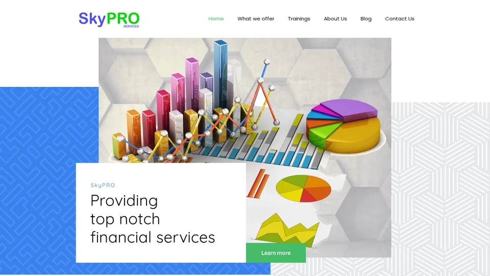 Live website capture of SkyPRO Professional Services